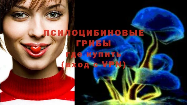 СК Арсеньев