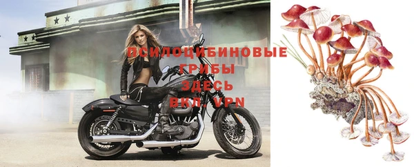 героин Алзамай